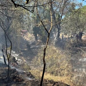 edremitte ortu yangini kontrol altina alindi s5zmjvBS