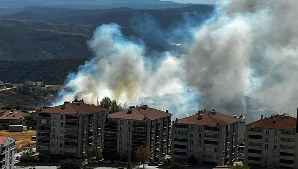 salca icin bileciki yakti 4tmY5sFa