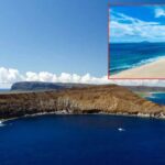 turistler giremiyor yasayanlar ise kira odemiyor yasakli ada adeta bir siginak ama tek bir sart var ymZ2RhD1