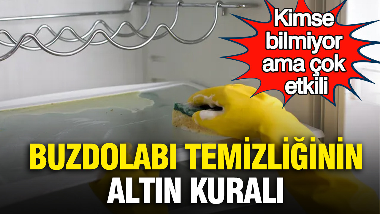 kimse-bilmiyor-ama-cok-etkili-buzdolabi-temizliginin-altin-kurali-Edb7ptLa